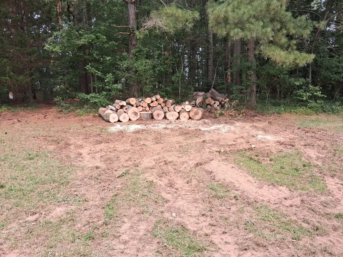 Lakeside clearing and gravel outdoor area, photo 10 of 21