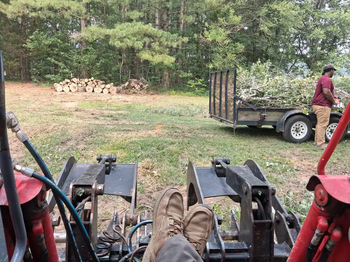 Lakeside clearing and gravel outdoor area, photo 11 of 21