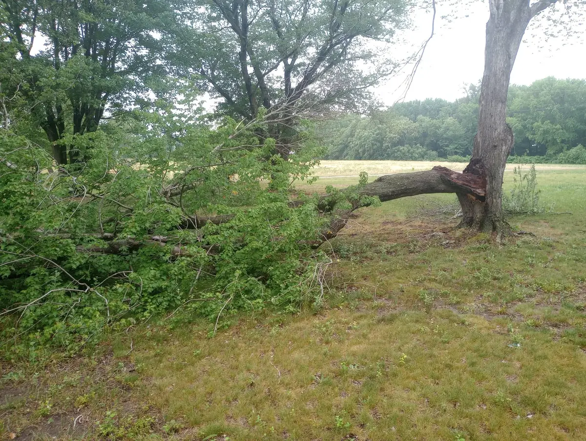 Lakeside clearing and gravel outdoor area, photo 16 of 21