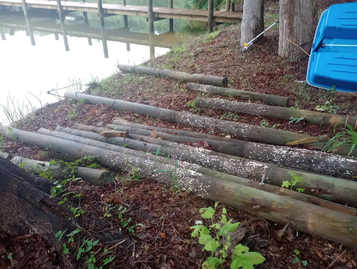 Lakeside clearing and gravel outdoor area, photo 17 of 21