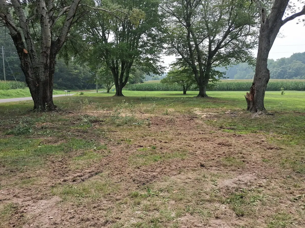 Lakeside clearing and gravel outdoor area, photo 20 of 21